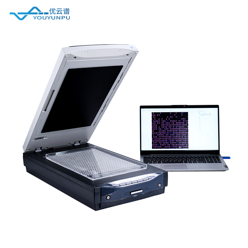 大米外觀品質(zhì)分析儀：讓每一粒大米的數(shù)據(jù)說話